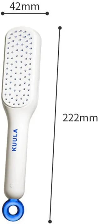 Self-Cleaning Hair Brush in Pakistan