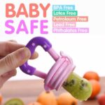 Buy Safe & Mess-Free Feeding with the Baby Fruit Pacifier Feeder!